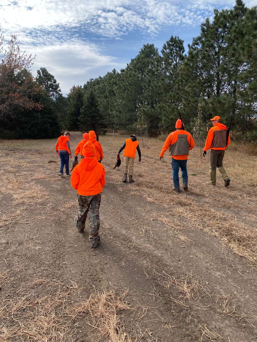 Pheasant Hunting Photo